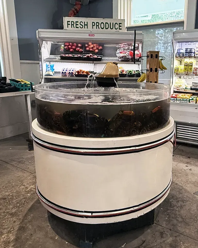 Lobster Tank